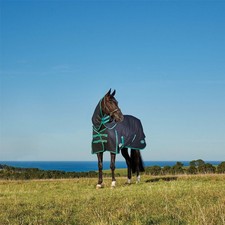 Mediumweight Turnout Rug