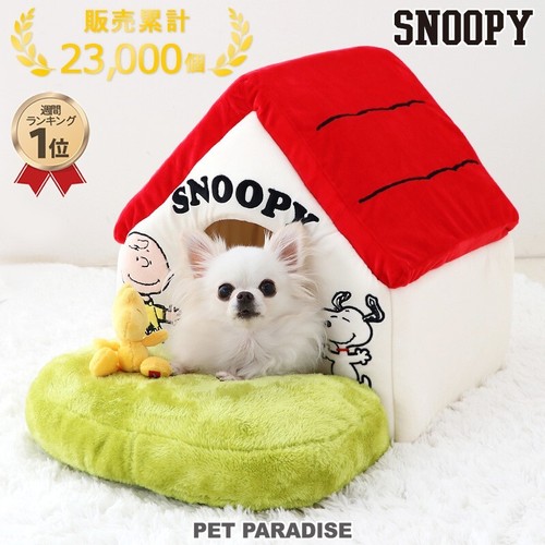 Snoopy dog paradise - dog,