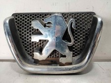 9628688677 front grille