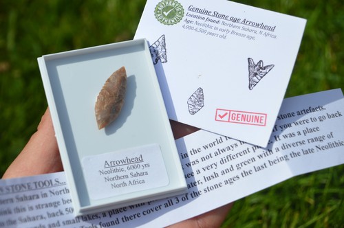 Genuine prehistoric - genuine, prehistoric/