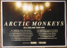 Arctic monkeys live - arctic,