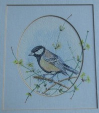 Original Remarque Watercolour Great Tit Perched On Branch F&G Signed Roy Dingle