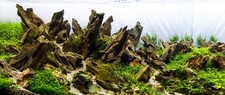 7.5 kg Dragon Rock Stone Ohko