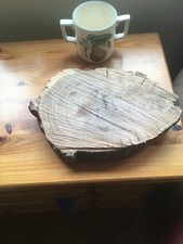 Oak wood tree log section slab cookie trunk - carving woodworking x 1