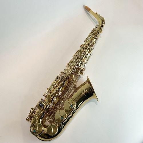Yanagisawa wo1 alto - a-wo1,