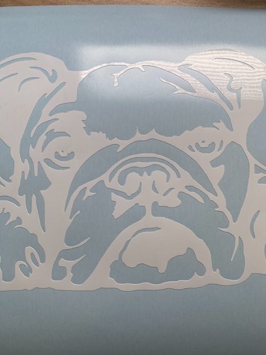 English bulldog dog vinyl - bulldog,