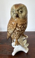Hand painted Tawny Owl, Fine