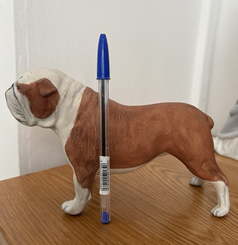 Old english bulldog - old, decent