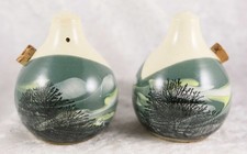 Boscastle Pottery Roger Irving Little salt & pepper pots 2001 cruet set