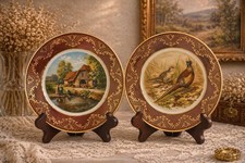 Vintage Decorative Plates Set