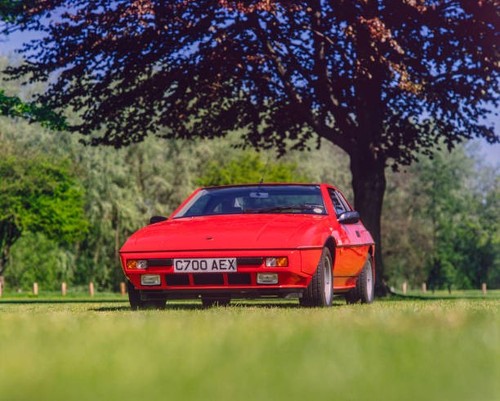 Red lotus excel parked on - excel,