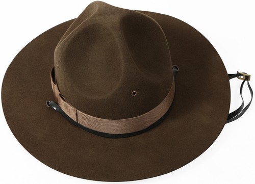 Drill sergeant hat army - sergeant,