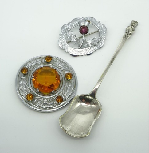 Scotland thistle brooches - thistle,