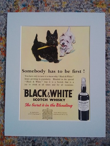 Black white scotch - black, whisky