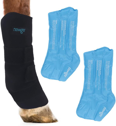 Horse ice pack for - horse,