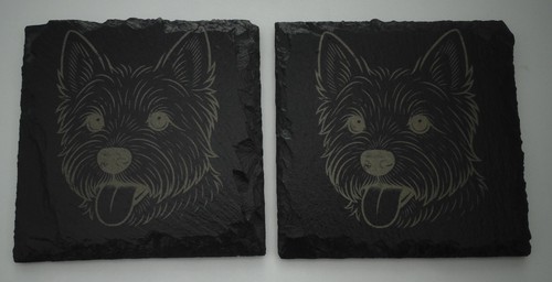 West highland terrier - terrier, (westie)