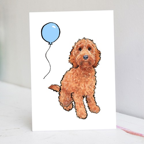 Red cockapoo birthday - cockapoo,