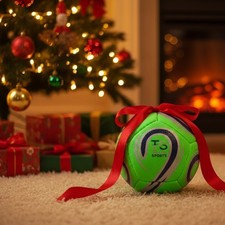 Mini Football Size 2 Training