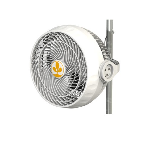 Secret jardin monkey fan - 9",