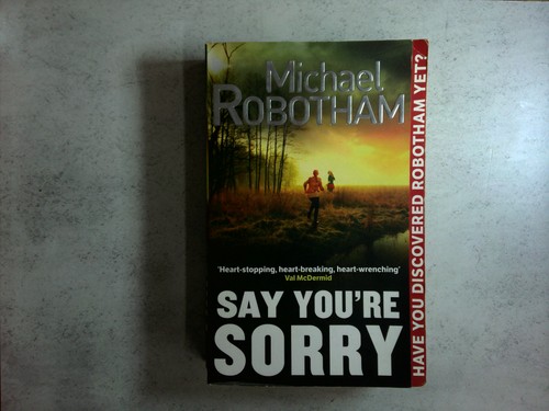Say you sorry michael - sorry, by