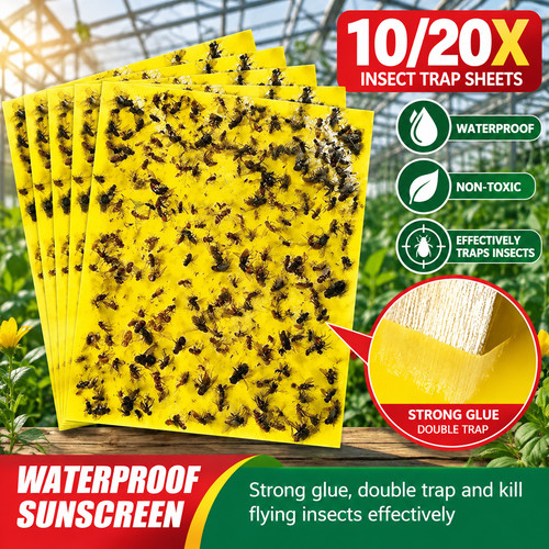 20pcs yellow sticky - yellow, fly