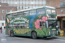 Bus Photo - Eastern Counties