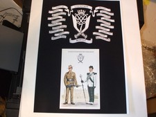 THE 7TH DUKE OF EDINBURGH OWN