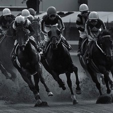 Simple 7 Step Lays Horse