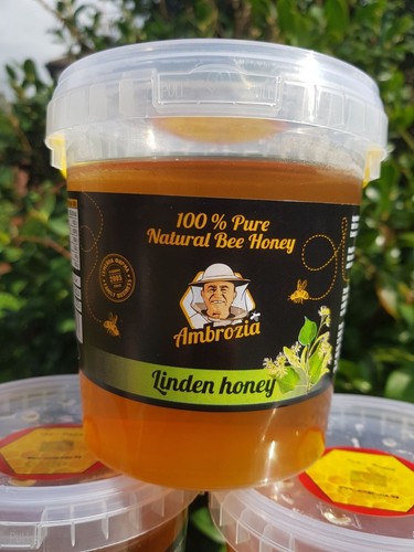 100 pure linden honey - linden, 1