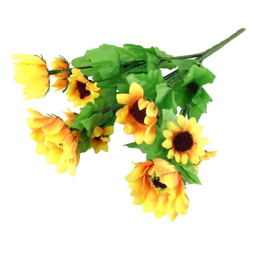 Head small sunflower - head,