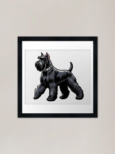 Giant schnauzer dog - giant,