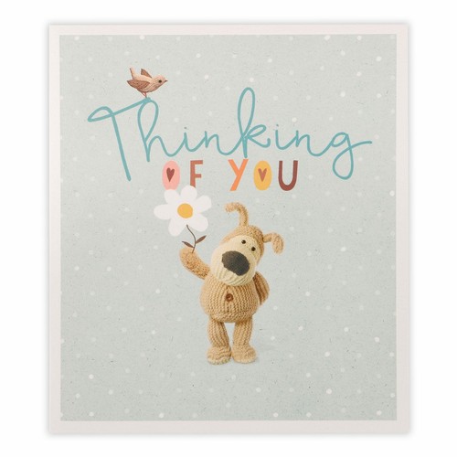 Thinking you boofle - thinking, with