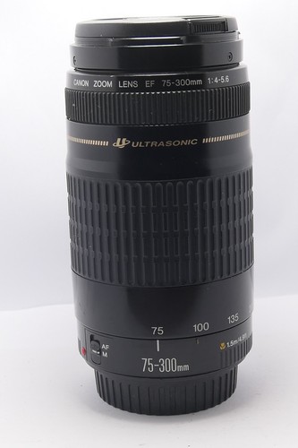 Canon 300mm usm lens - 75-300mm,