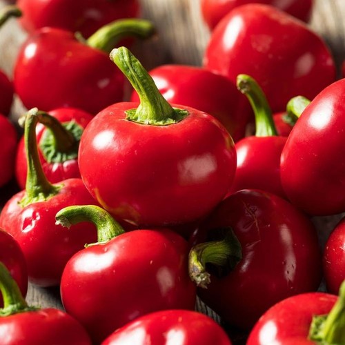 Red cherry chilli pepper - 33,
