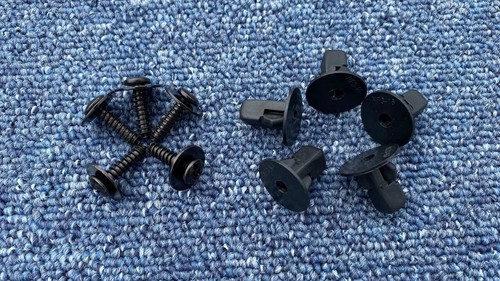 Fit ferrari screw retainer - fit,