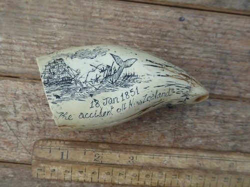 Replica scrimshaw piece 18 - scrimshaw, -18