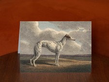 The Greyhound by Samuel Howitt (1812) - A5 Art Print Greeting Card
