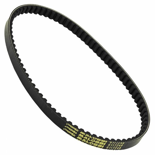 Malossi special belt for - malossi,