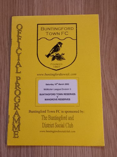 Buntingford town reserves - town,