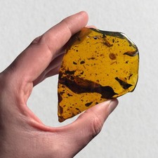 HUGE Burmese / Burmite amber