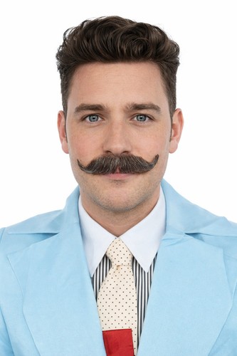 Fake imperial moustache - fake,