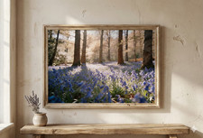 Bluebell Woodland Wall Art