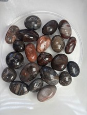 250g Fossil Wood Tumble Stones