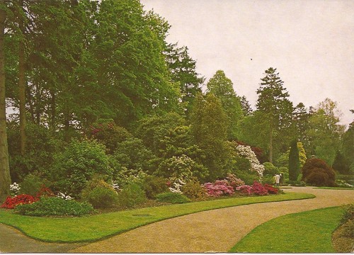 Postcard wakehurst place - postcard:,