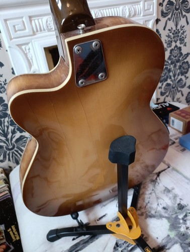 Eko string jazz - string, guitar