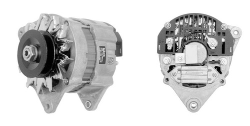 Mahle alternator 283 14v - mg,