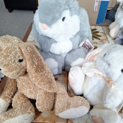 Selection cute rabbits - of,