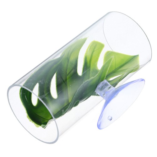 Multi purpose betta - purpose, fish