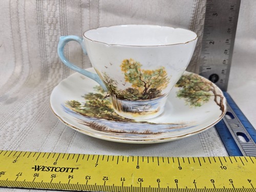 Vintage shelley fine - vintage,