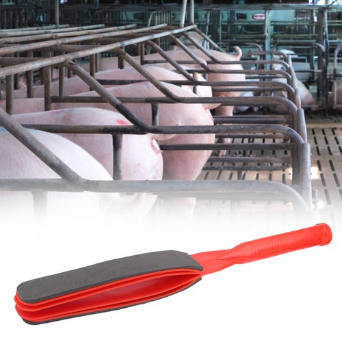Handheld pig whip - whip, prod